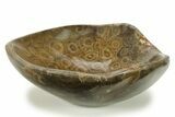 Polished Fossil Coral (Actinocyathus) Dish - Morocco #286805-1